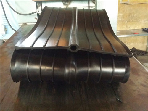 300��8���zֹˮ��